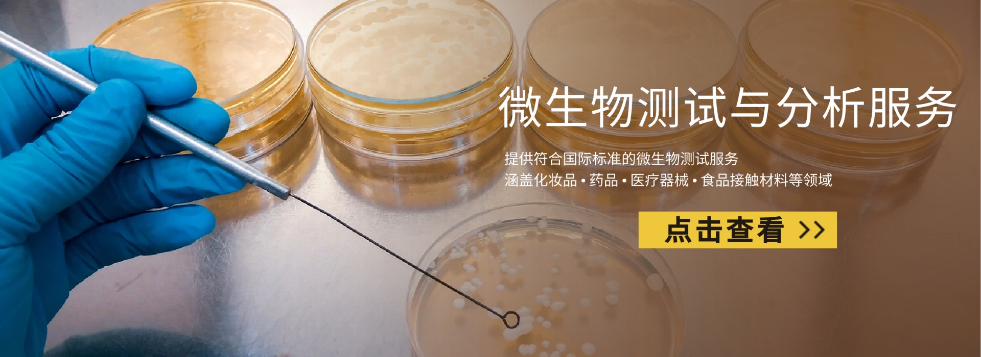 特定菌种检测(图1)